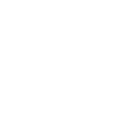 Shadow Runner