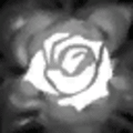 Does Samira's ult get canceled by Kassadin's Q and Soraka's E?