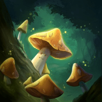 7176